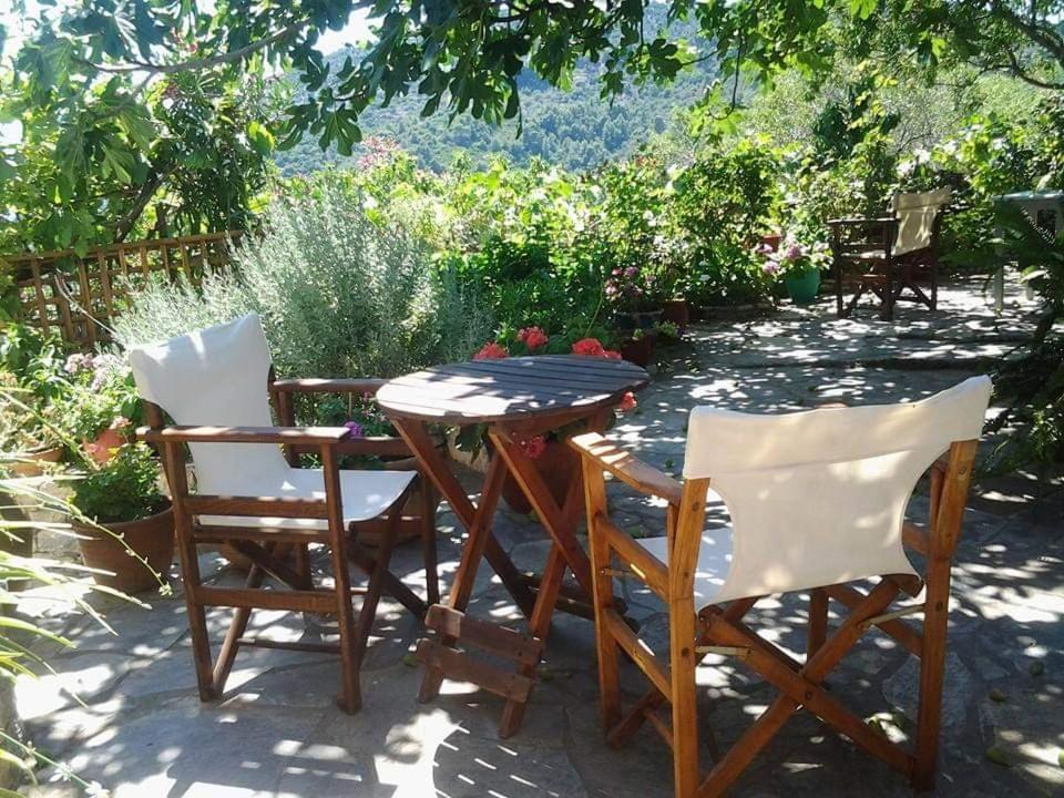 Villa Panayiota Αλόννησος Εξωτερικό φωτογραφία