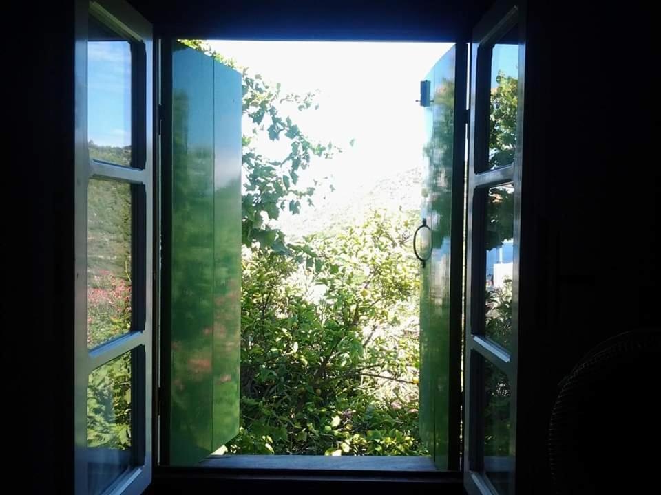 Villa Panayiota Αλόννησος Εξωτερικό φωτογραφία