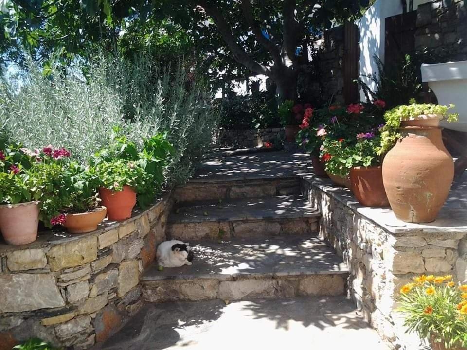 Villa Panayiota Αλόννησος Εξωτερικό φωτογραφία