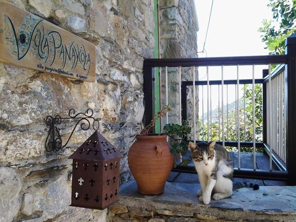 Villa Panayiota Αλόννησος Εξωτερικό φωτογραφία