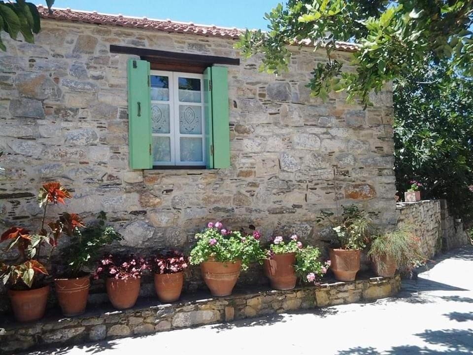 Villa Panayiota Αλόννησος Εξωτερικό φωτογραφία