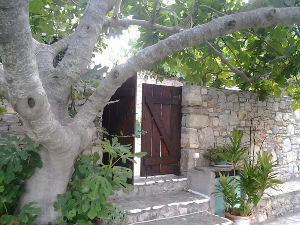 Villa Panayiota Αλόννησος Εξωτερικό φωτογραφία