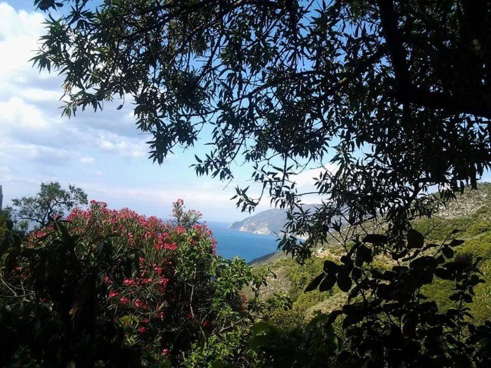 Villa Panayiota Αλόννησος Εξωτερικό φωτογραφία