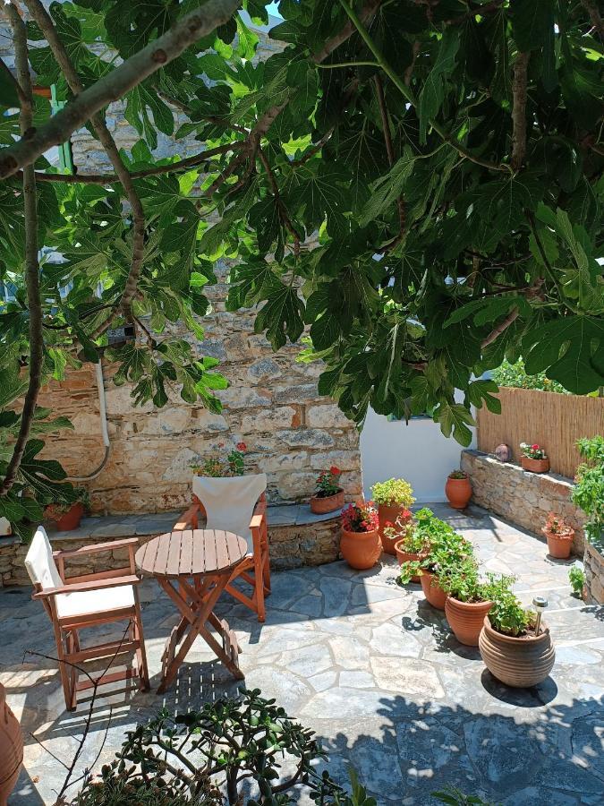 Villa Panayiota Αλόννησος Εξωτερικό φωτογραφία